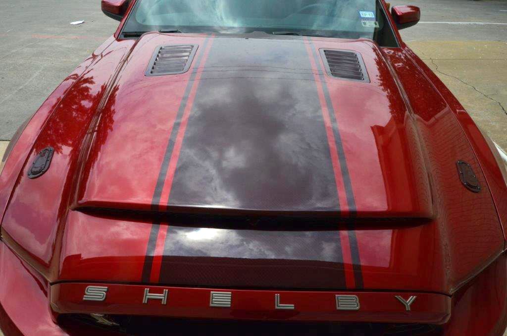 Mustang GT500 Carbon Fiber Black Mamba Hood 2010-2014